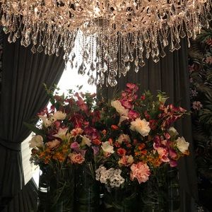 Meet your Posher, Ella